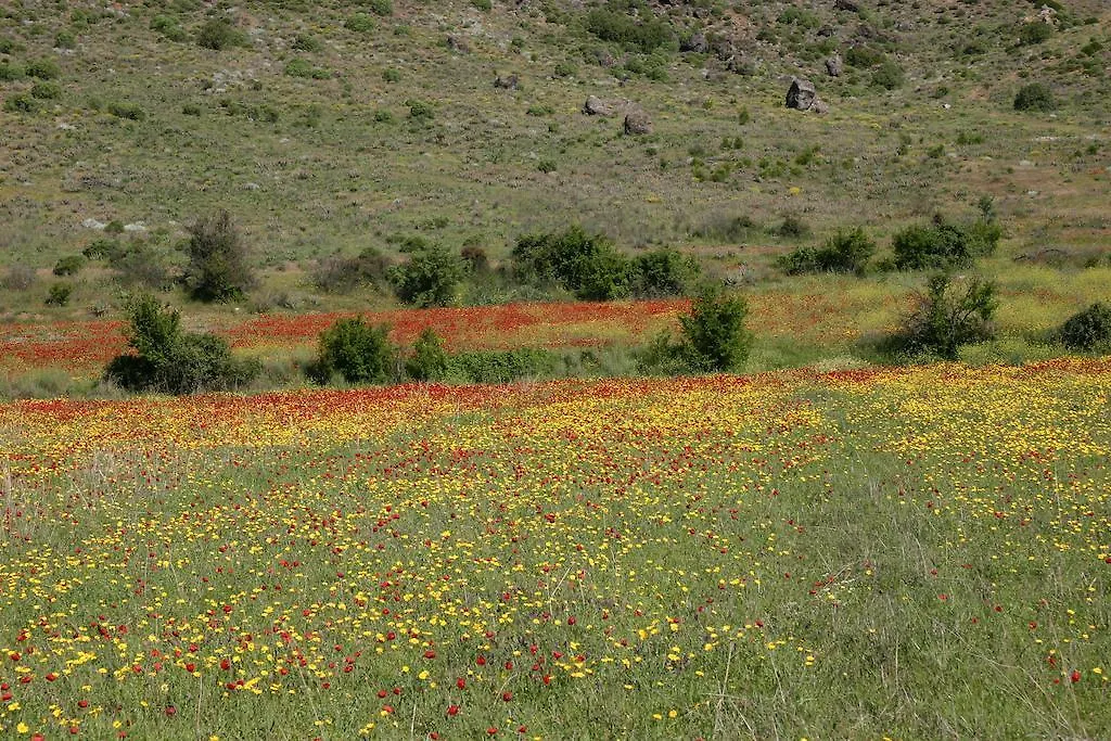 Begonville Villa Koycegiz Koycegiz (Mugla)